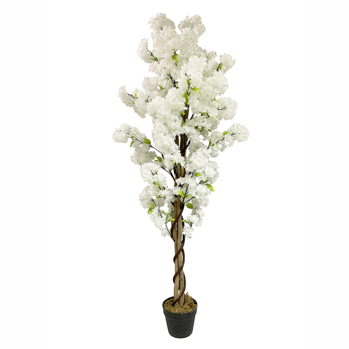 Large View 145cm White Artificial Cherry Blossom (Sakura) Tree  - Potted