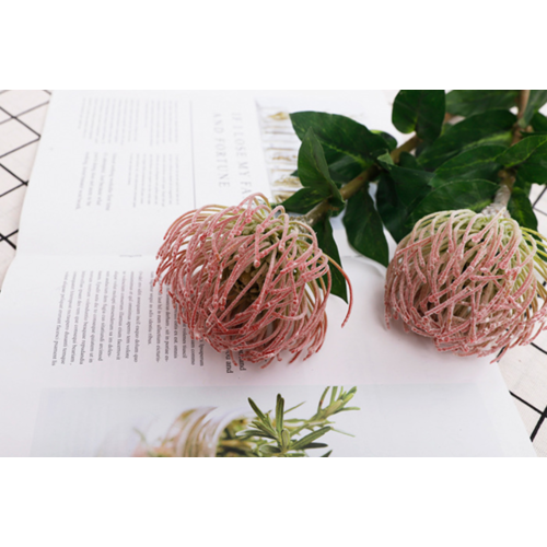 Large View 70cm Dusty Mauve Native Leucospermum (Pincushion)