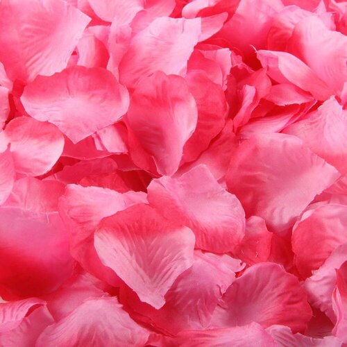 Large View Rose Petals  - Pink / Fushia  -100pk