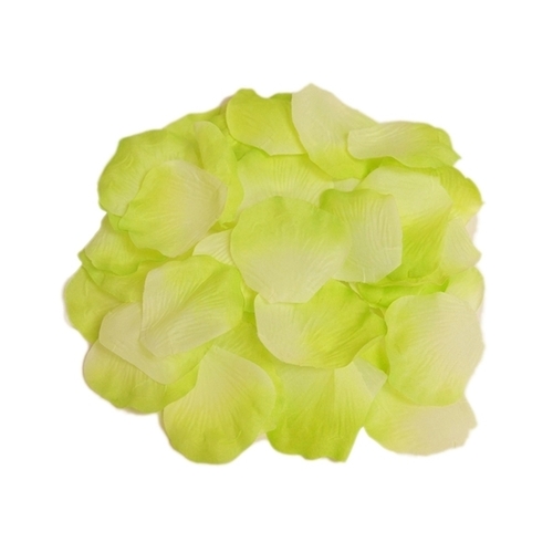 Large View 500pk Rose Petals - Mint