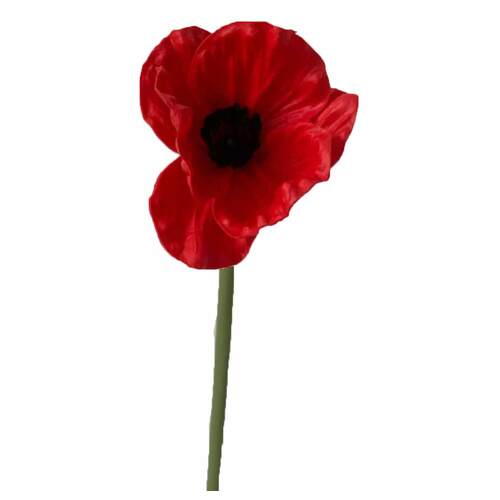 Large View 10pcs Poppy Stem - Red