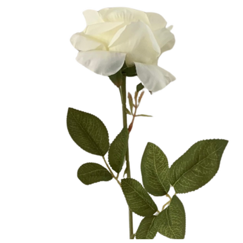 Large View 60cm - White/Cream Single Stem Rose 