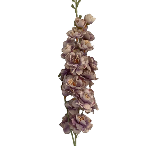 Large View Delphinium Stem - 90cm -  Dusty Purple