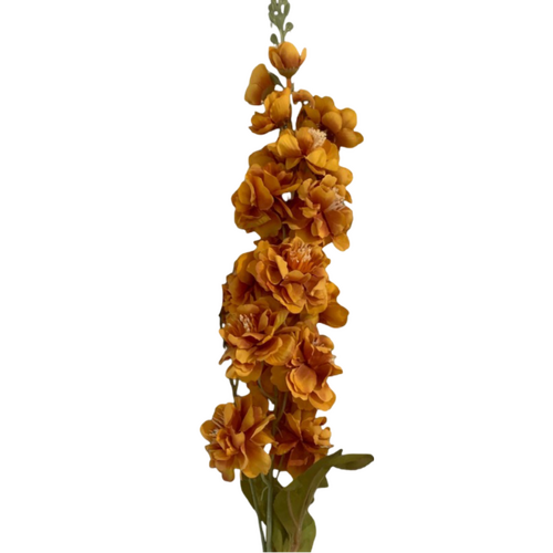 Large View Delphinium Stem - 90cm - Autumn Toned