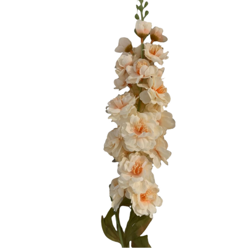 Large View Delphinium Stem - 90cm - Soft Peach