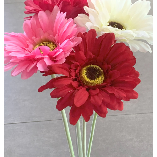 Large View Gerbera Daisy Stem - Red 