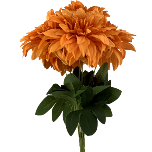 Large View 40cm - 7 Head Dahlia Bush - Autumn Orange