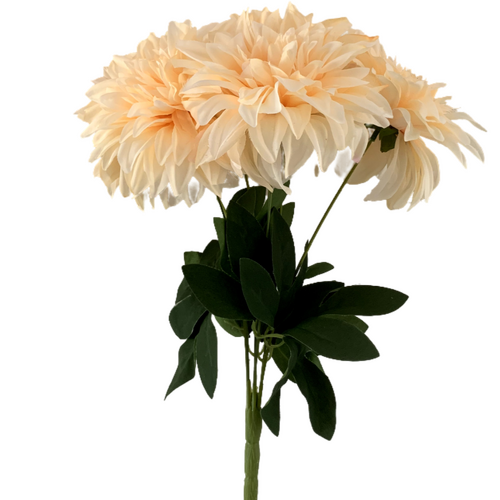 Large View 40cm - 7 Head Dahlia Bush - Peach