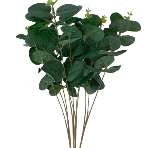 Large View 52cm Dark Green  Native Eucalyptus Leaf Bunch (Silver Dollar)