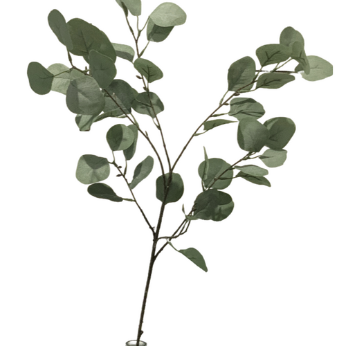 Large View 95cm Native Eucalyptus Leaf Branch (Silver Dollar)