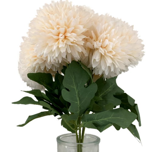 Large View 7 Head Dahlia Bouquet - Ivory