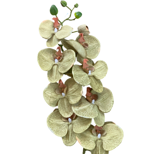 Large View Dusty Green Phalaenopsis Orchid 7 head - 100cm