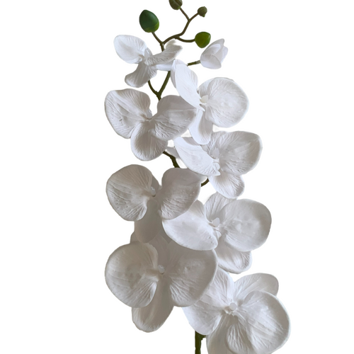 Large View Pure White Phalaenopsis Orchid 7 head - 100cm