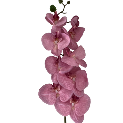 Large View Pink Phalaenopsis Orchid 7 head - 100cm