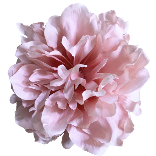 Large View 14cm Peony Flower Head - Dusty Pink