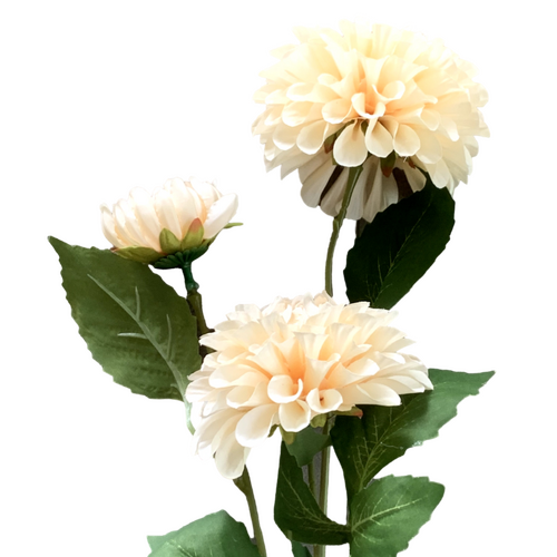 Large View 75cm - 3 Head Dahlia Flower Stem - Cream/Champagne