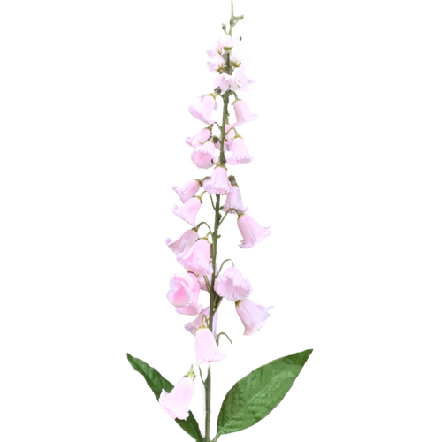 Large View 100cm - Foxglove flower stems - Pink