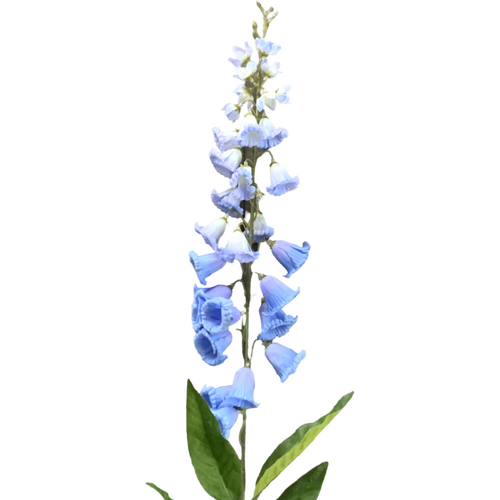 Large View 100cm - Foxglove flower stems - Blue