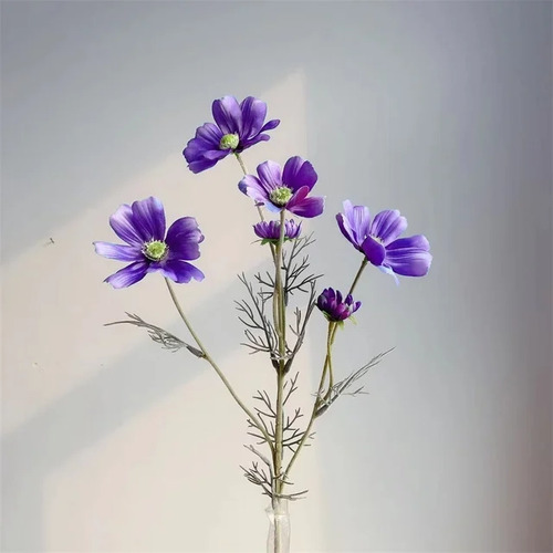 Large View 60cm Purple Cosmos Stem