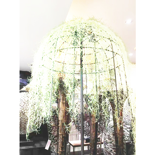 Large View 80cm Spanish Moss (Air Grass) - White