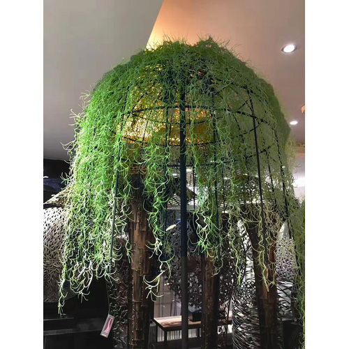 Large View 80cm Spanish Moss (Air Grass) - Green