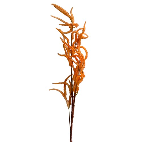 Large View 100cm Orange Astilbe  Branch