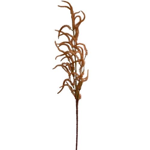 Large View 100cm Brown Astilbe  Branch