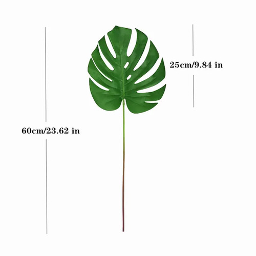 Large View 60cm Monstera Split Leaf Philodendron - Green