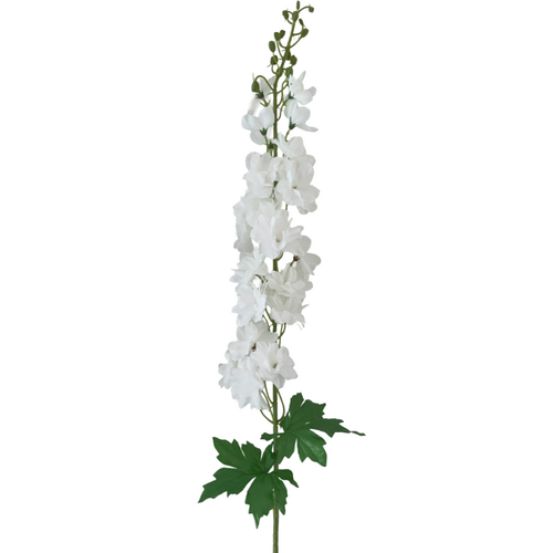 Large View Delphinium - 100cm - White