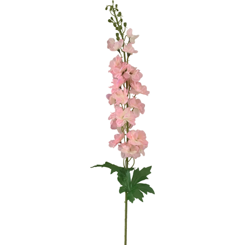 Large View Delphinium - 100cm - Pink