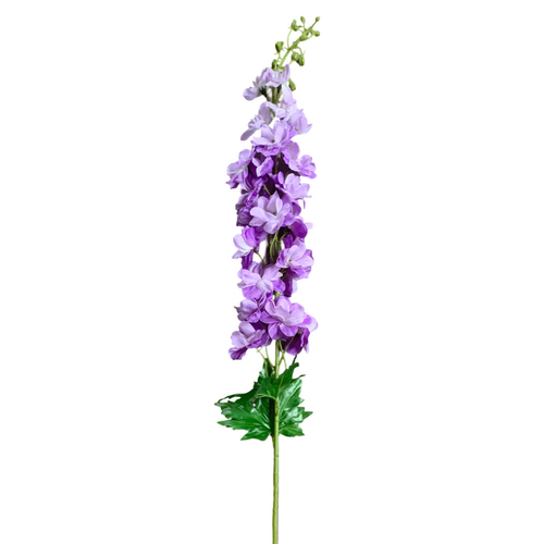 Large View Delphinium - 100cm - Purple