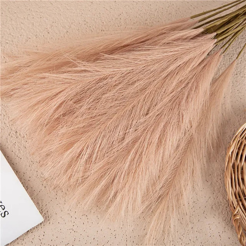 Large View 80cm Pampas Grass - Soft Peach