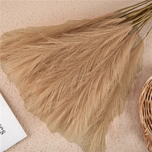 Large View 80cm Pampas Grass - Beige