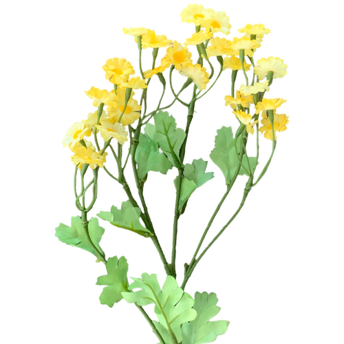 Large View 55cm Stem of Yellow Chamomile