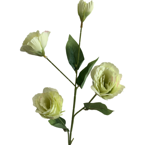 Large View Lisianthus 4 head - 70cm - Soft Green