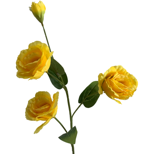 Large View Lisianthus 4 head - 70cm - Yellow