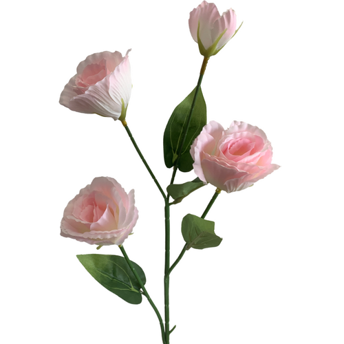 Large View Lisianthus 4 head - 70cm - Soft Pink