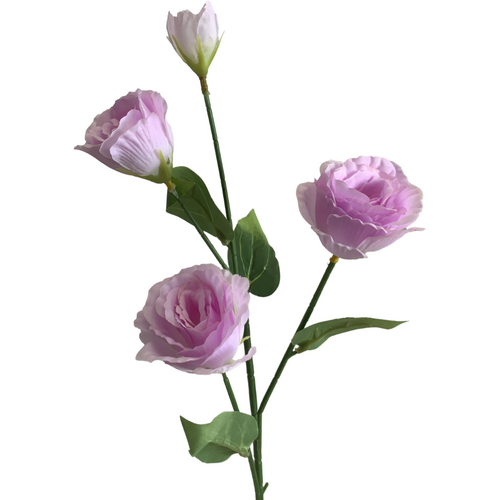 Large View Lisianthus 4 head - 70cm - Light Purple