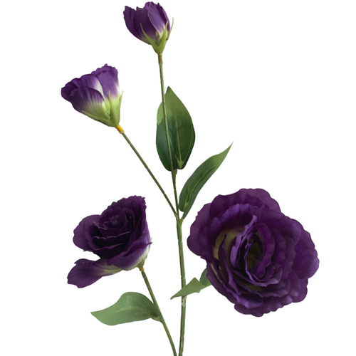 Large View Lisianthus 4 head - 70cm - Purple