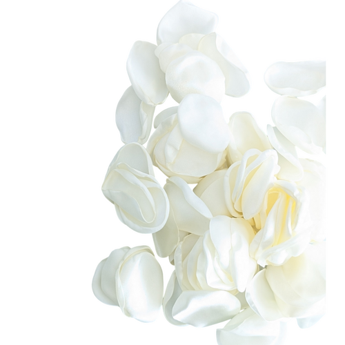 Large View 200  White Silky Rose Petals in organza pouch