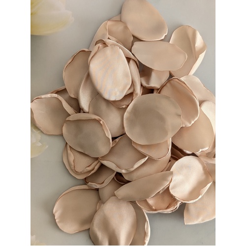 Large View 200 Beige Silky Rose Petals in organza pouch