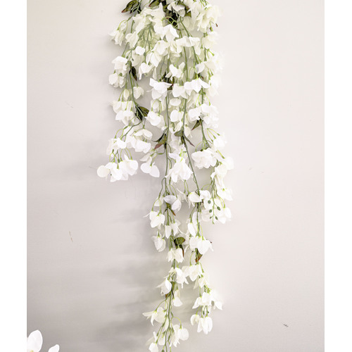 Large View 128cm - White Trailing Bougainvillea