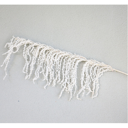 Large View 90cm White  Amaranthus Branch