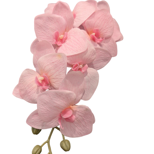 Large View Pink Cymbidium Orchid 7 head - 75cm