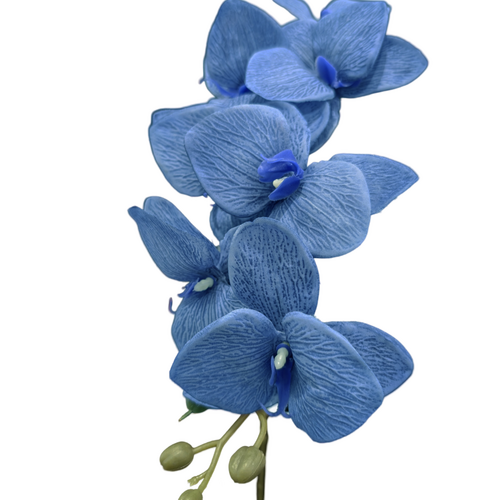 Large View Dark Blue Cymbidium Orchid 7 head - 75cm