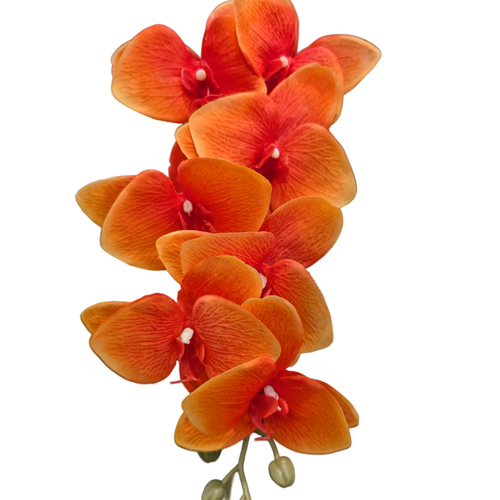 Large View Orange Cymbidium Orchid 7 head - 75cm