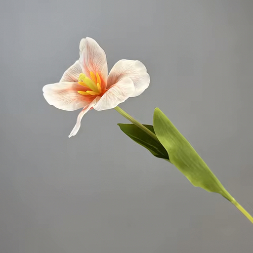 Large View Peach Single Stem Open Tulip 65cm