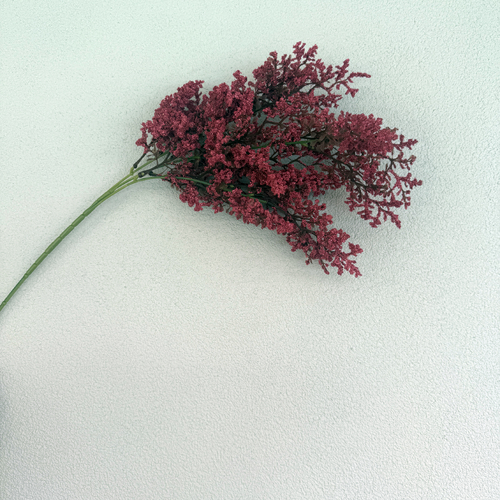 Large View 77cm Dusty Burgundy Two Tone Effect Astilbe