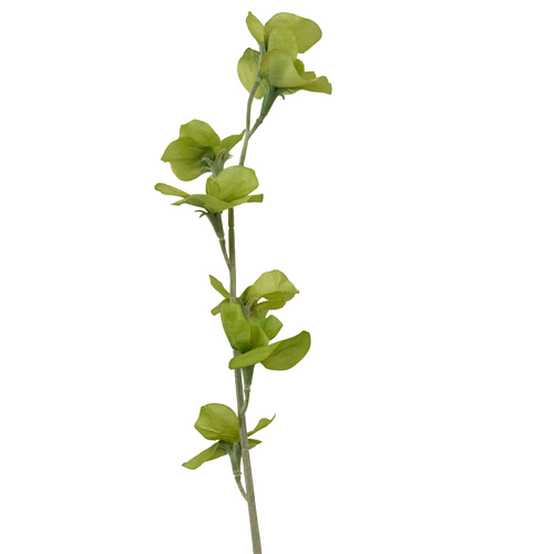 Large View 63cm Sweet Pea Stem - Sage Green