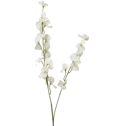 Large View 100cm Sweet Pea Stem - White